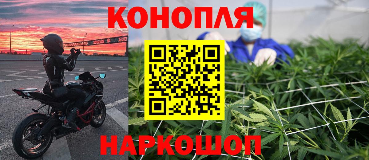 Бошки Шишки планчик  Конопля планчик  Вязьма  Канабис индика  Вход с VPN 